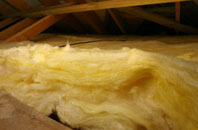 Gunville pitch roof insulation